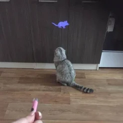 TailTrend Haustierzubehör|Haustierspielzeug-Interaktives Laser-Katzenspielzeug – Lustiges Haustierspielzeug