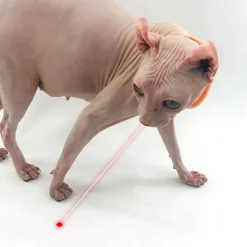 TailTrend Haustierzubehör|Haustierspielzeug-Interaktives Laserpointer-Katzenspielzeug – lustige Taschenlampe für Haustiere