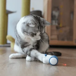 TailTrend Haustierspielzeug-Interaktives Pixie-Maus-Spielzeug – lustiger und verspielter Begleiter für Kinderabenteuer