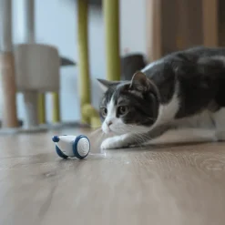 TailTrend Haustierspielzeug-Interaktives Pixie-Maus-Spielzeug – lustiger und verspielter Begleiter für Kinderabenteuer