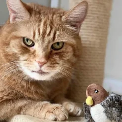 TailTrend Haustierspielzeug-Interaktives Vogel-Katzenspielzeug – Teaser für neugierige Katzen