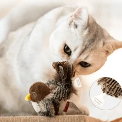 TailTrend Haustierspielzeug-Interaktives Vogel-Katzenspielzeug – Teaser für neugierige Katzen