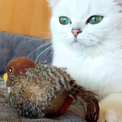 TailTrend Haustierspielzeug-Interaktives Vogel-Katzenspielzeug – Teaser für neugierige Katzen
