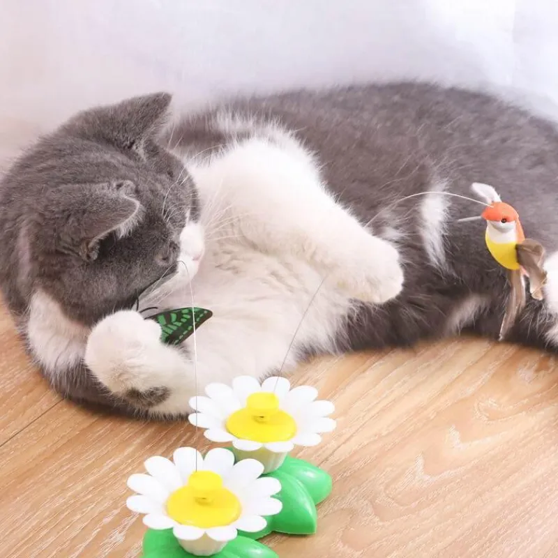 TailTrend Haustierspielzeug-Interaktives Vogelspielzeug für spannende Vogelunterhaltung und Spiel