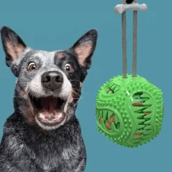 TailTrend Haustierzubehör|Haustierspielzeug-Interaktives Zahnspielzeug für Hunde – Zahnreinigungsball für Haustiere