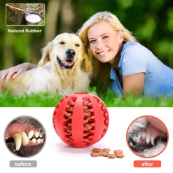 TailTrend Haustierzubehör|Haustierspielzeug-Interaktives Zahnspielzeug für Hunde – Zahnreinigungsball für Haustiere