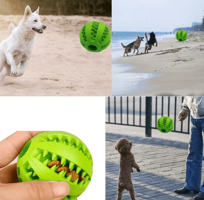 TailTrend Haustierzubehör|Haustierspielzeug-Interaktives Zahnspielzeug für Hunde – Zahnreinigungsball für Haustiere