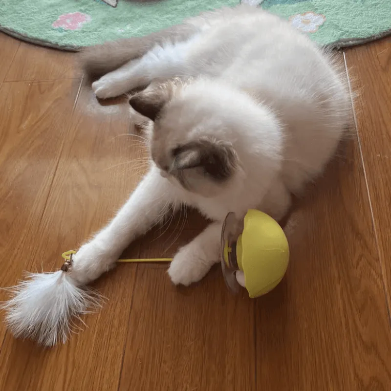 TailTrend Haustierspielzeug-3-in-1-Wackelspielzeug für Kinder – Interaktive Spielhilfe für Spaß und Entwicklung