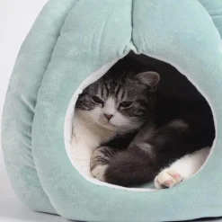 Decor Haustierzubehör|Haustierbetten-Kaktus-Katzenbett – Gemütliches Haustierbett für Katzen