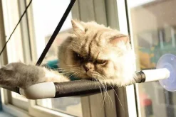 Decor Haustierzubehör-Katzenhängematte – bequemes hängendes Haustierbett