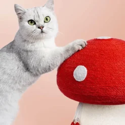 TailTrend Haustierspielzeug-Katzenkratzbaum in Pilzform – handgefertigte Haustiermöbel für verspielte Katzen