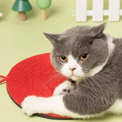 TailTrend Haustierspielzeug-Katzenkratzbaum in Pilzform – Stilvoller Katzenkratzbaum