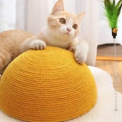 TailTrend Haustierzubehör|Haustierbetten-Katzenkratzbrett - Eier-Karotten-Design