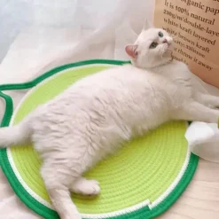 TailTrend Haustierspielzeug-Katzenkratzbrett mit Katzenohren – Gesunde Krallen für glückliche Katzen