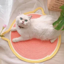 TailTrend Haustierspielzeug-Katzenkratzbrett mit Katzenohren – Gesunde Krallen für glückliche Katzen