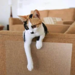 Furendo Haustierzubehör|Haustierbetten-Katzenkratzmatte - Möbelschutzunterlage