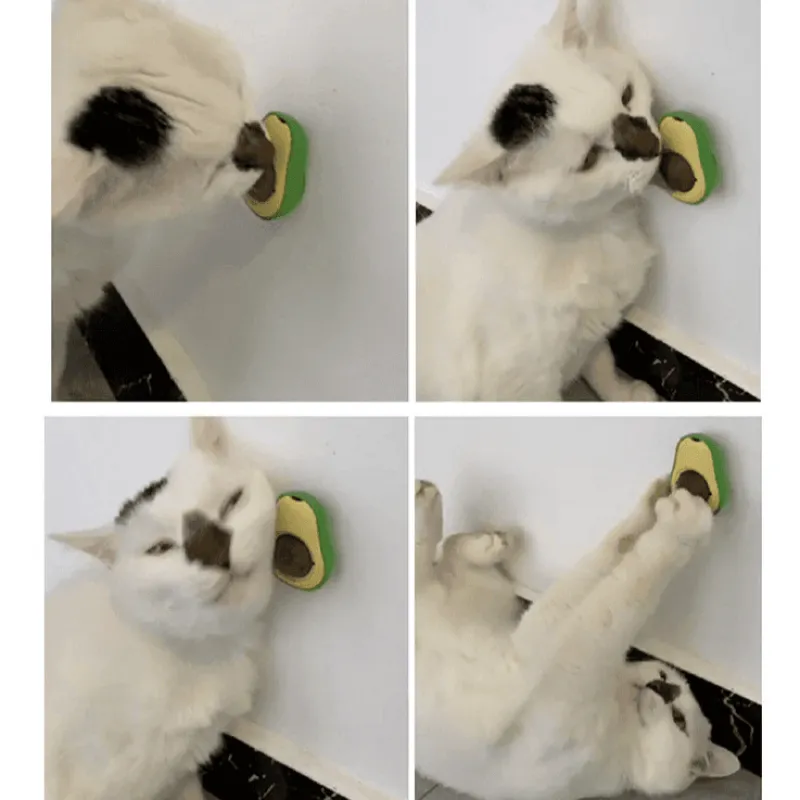 TailTrend Haustierspielzeug-Katzenminze-Avocado-Ball – Interaktives Selbstspielspielzeug für Katzen