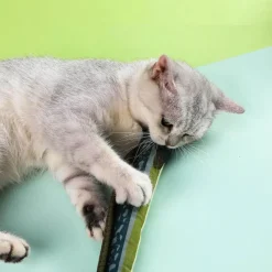 TailTrend Haustierspielzeug-Katzenminzen-Fischspielzeug für Katzen – spannende Spiel- und Spaßstimulation