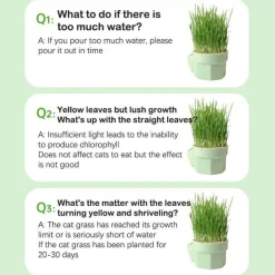 Furry Haven Haustierzubehör|Reinigungswerkzeuge Für Haustiere-Katzenminz-Pflanzgefäß - Kräuter-Snacktopf für Katzen