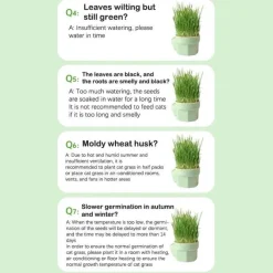 Furry Haven Haustierzubehör|Reinigungswerkzeuge Für Haustiere-Katzenminz-Pflanzgefäß - Kräuter-Snacktopf für Katzen