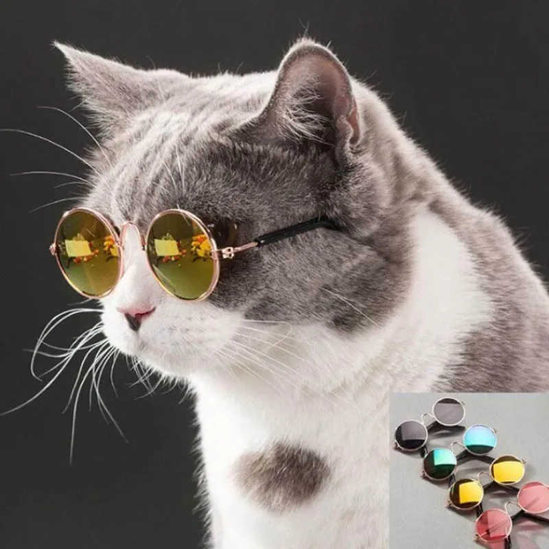 Decor Haustierzubehör-Katzensonnenbrille – Stylische coole Brillen für Haustiere