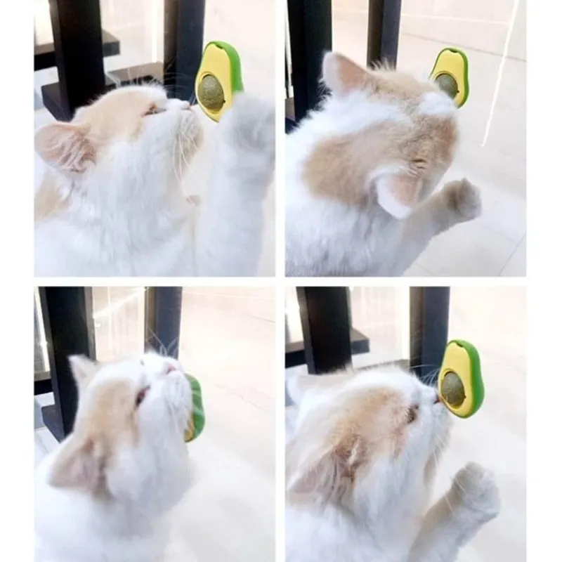 TailTrend Haustierzubehör|Reinigungswerkzeuge Für Haustiere-Katzenspielzeug zur Wandmontage – Avocadoball-Spielzubehör für Katzenspaß