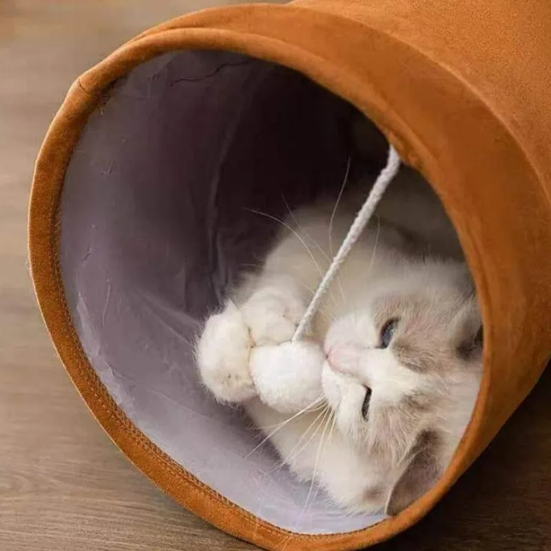 TailTrend Haustierspielzeug-Katzentunnelspielzeug – Zusammenklappbares interaktives Spiel für Kätzchen