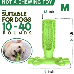 Furendo Haustierzubehör|Reinigungswerkzeuge Für Haustiere-Kauspielzeug für Hunde aus Naturkautschuk – Zahnreiniger für Haustiere