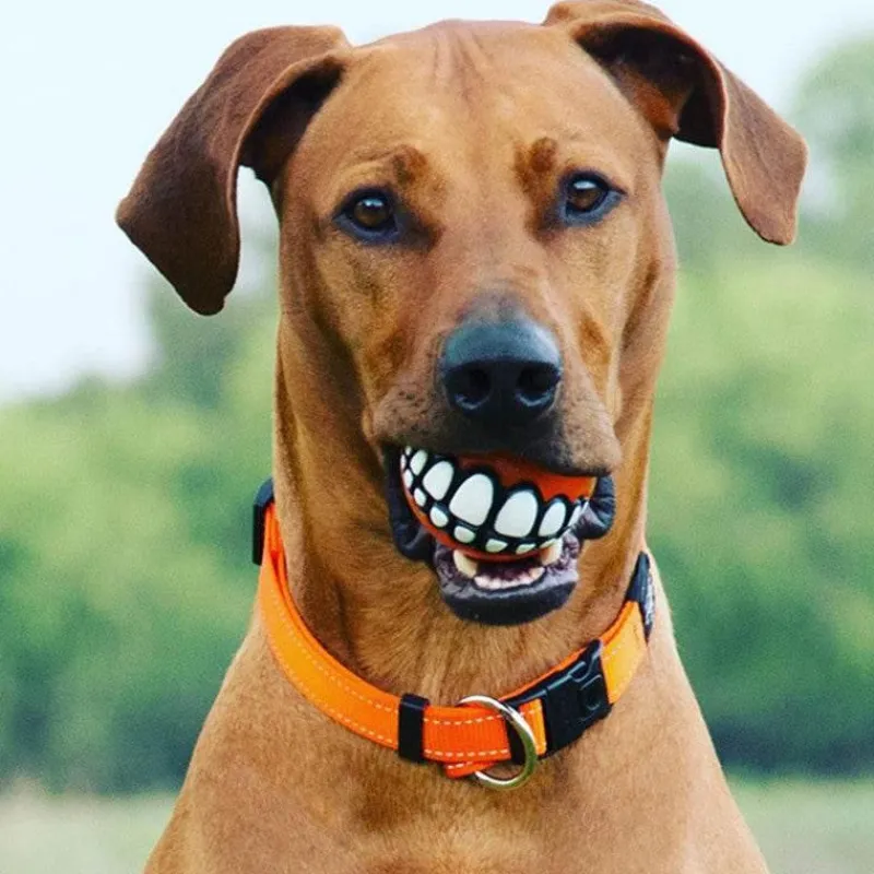 TailTrend Haustierzubehör|Haustierspielzeug-Kauspielzeug für Hunde mit Smiley-Motiv aus Gummi – Lustiges Kauspielzeug für Haustiere