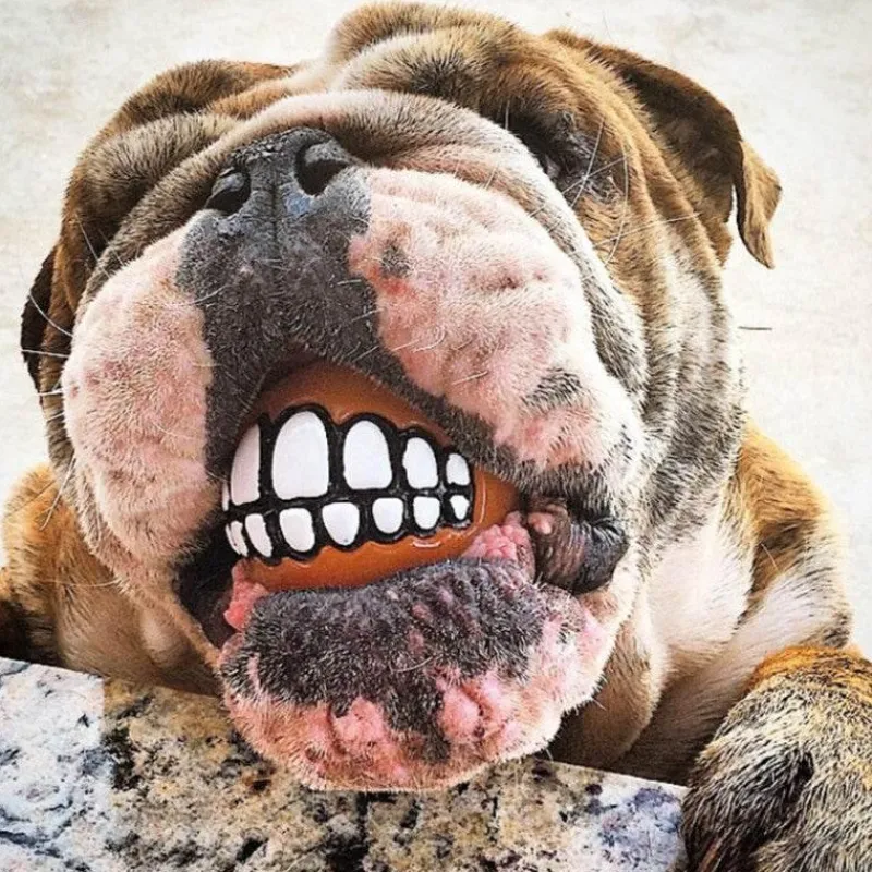 TailTrend Haustierzubehör|Haustierspielzeug-Kauspielzeug für Hunde mit Smiley-Motiv aus Gummi – Lustiges Kauspielzeug für Haustiere