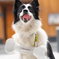 Furry Haven Haustierzubehör|Reinigungswerkzeuge Für Haustiere-Knochenförmige Hundewasserflasche – Stilvolles Trinkzubehör für Haustiere