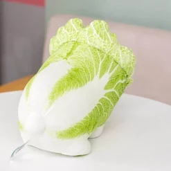 Plush Perch Bettzeug-Kohl-Hundekissen - Süßes Plüsch-Gemüse-Haustierspielzeug