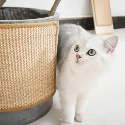 Comfort u0026 Style Reinigungswerkzeuge Für Haustiere|Haustierzubehör-Kratzschutzmatte für Katzen – Schutz für Sofa und Möbel vor Schäden durch Haustiere