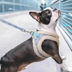 Decor Haustierzubehör-Kuschelige Hundeleine - Warme Fellleine für Haustiere