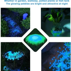 Adventure Basecamp Camping Im Freien|Outdoor-Artikel-Leuchtende Gartenwegsteine ​​– Leuchtende Landschaftsdekoration