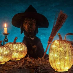 The Gilded Nest Beleuchtung-Luminous Pumpkin Lamp - Decorative Halloween Light Fixture