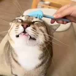 TailTrend Haustierspielzeug-Massagebürste zur Katzenpflege – Interaktives Haustierspielzeug mit Ständer