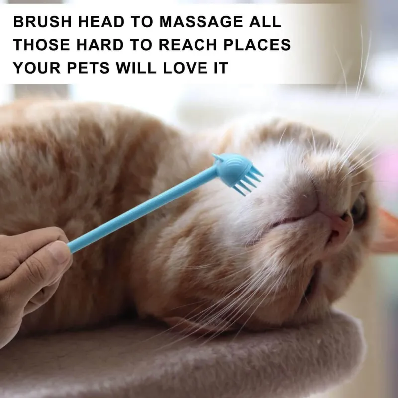 TailTrend Haustierspielzeug-Massagebürste zur Katzenpflege – Interaktives Haustierspielzeug mit Ständer