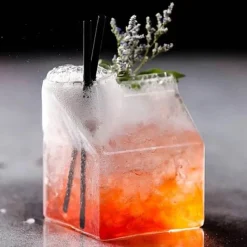 Plates u0026 More Küche & Esszimmer-Milchkarton-Glasbecher – süß, transparent, 300 ml, für Saft, Kaffee, Tee