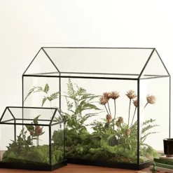 Willow u0026 Whim Wohndeko-Mini-Gewächshaus-Terrarium – Tisch-Pflanzendisplay