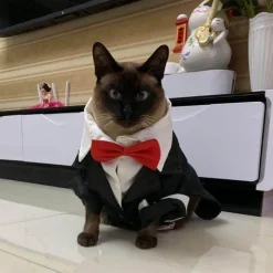 Decor Haustierzubehör-Niedliches Tierkostüm für Haustiere – Entzückendes Outfit für Hunde und Katzen