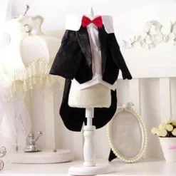 Decor Haustierzubehör-Niedliches Tierkostüm für Haustiere – Entzückendes Outfit für Hunde und Katzen