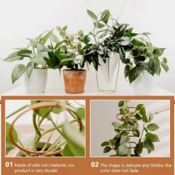 Cozy Living Heimwerkzeuge-Nordic Climbing Pflanzenständer - Indoor Outdoor Unterstützung für Weinreben