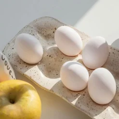 Space Savvy Küche & Esszimmer-NORDIC RESIN EGG STORAGE TRAY - Stilvoller Eier-Organizer