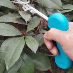 The Outdoor Vault Outdoor-Artikel|Heimwerkzeuge-Obstpflückschere - Rutschfestes Trimmwerkzeug