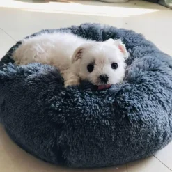 Decor Haustierzubehör|Haustierbetten-Pet Lounge Sitzsackbett – Weiches, bequemes Haustiermöbel