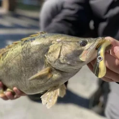 Gear Up u0026 Go Camping-Werkzeuge|Outdoor-Gadgets-Reflektierender Angelköder – weicher, realistischer Köder