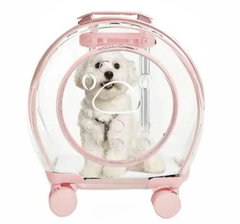 Furendo Haustierzubehör|Reinigungswerkzeuge Für Haustiere-Reisetasche für Haustiere – Hop Nest Koffer für Haustiere