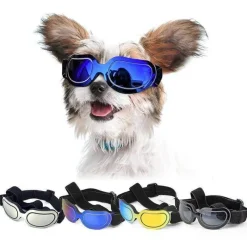 Decor Haustierzubehör-Reithelm für Haustiere – Stilvolle Sicherheitsausrüstung für Haustiere