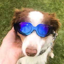 Decor Haustierzubehör-Reithelm für Haustiere – Stilvolle Sicherheitsausrüstung für Haustiere